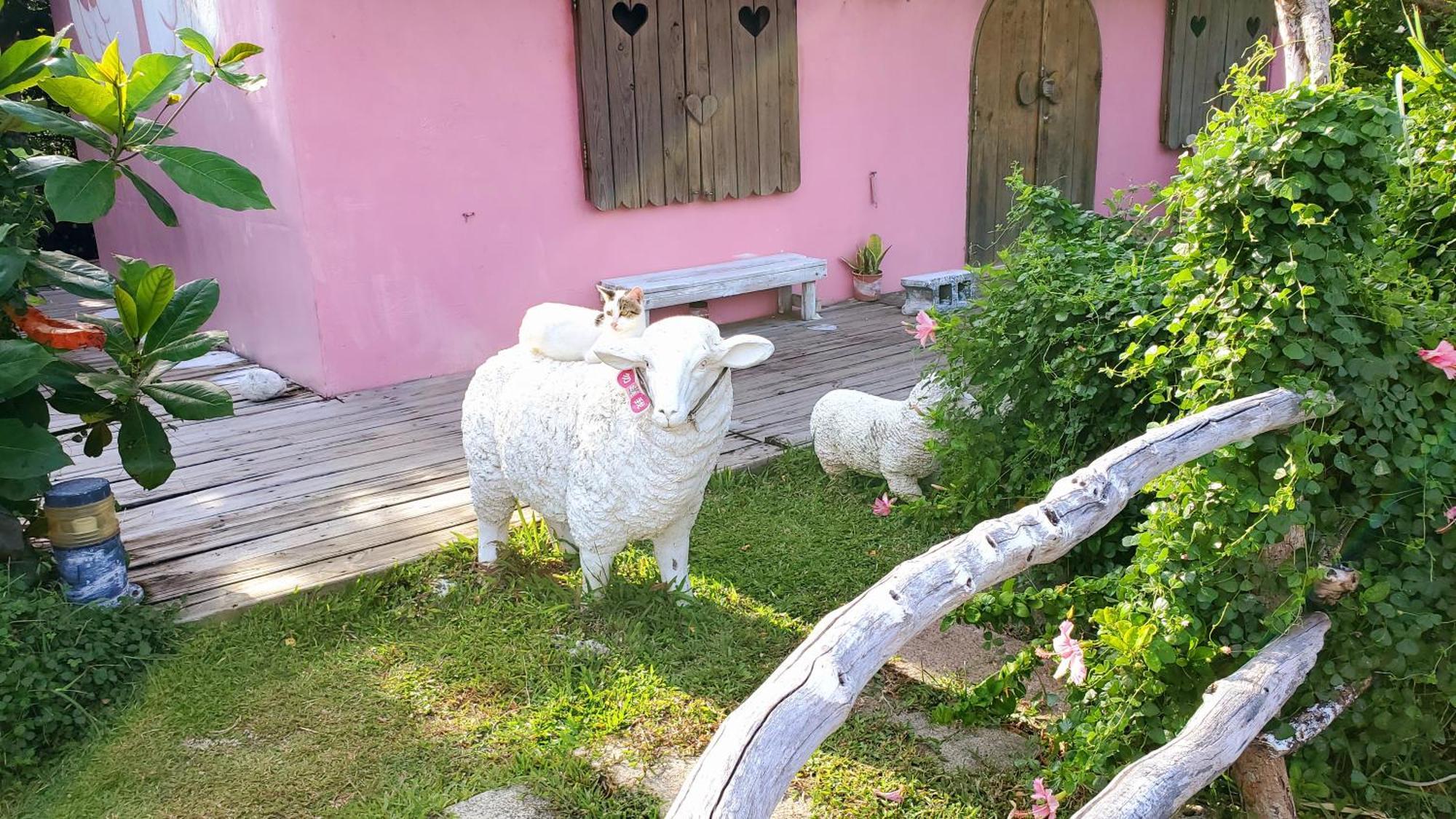 Whitiedoggie Villa Cape Eluanbi Екстериор снимка